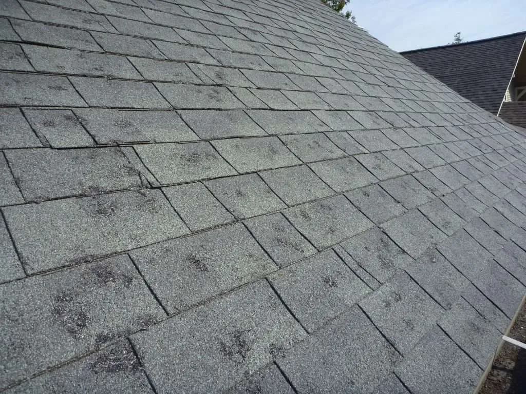 Hail impact damage on an asphalt shingle roof