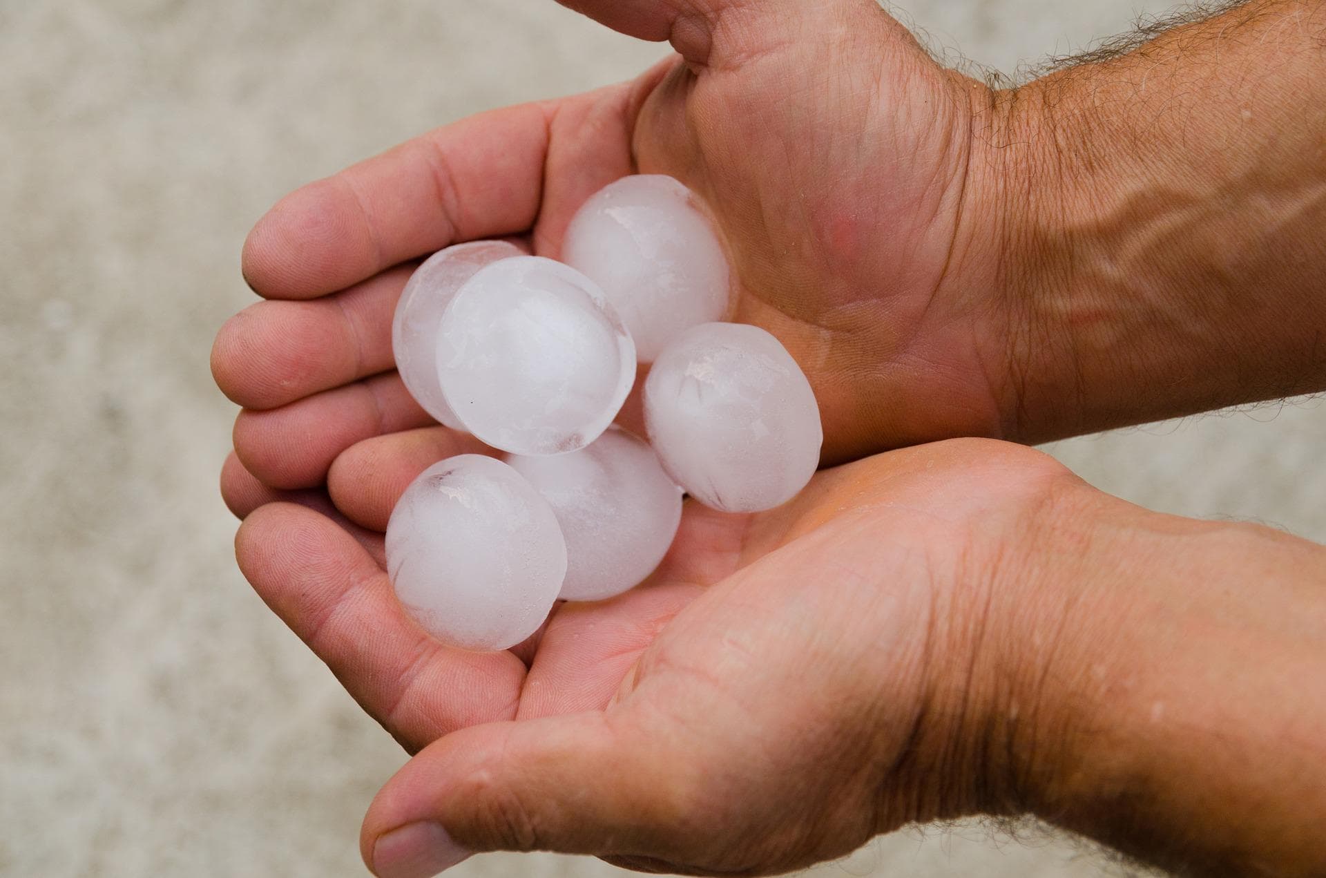 Hailstones collected after a storm