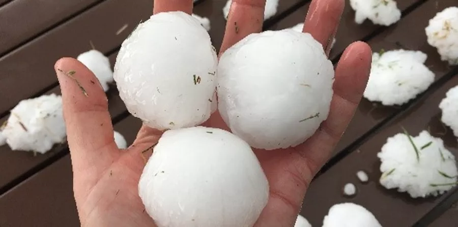 Large hailstones collected after a Texas storm