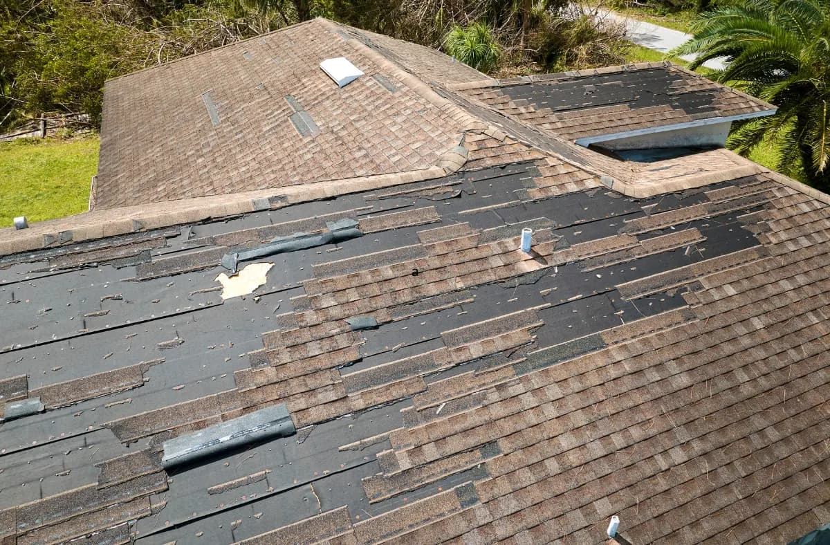 Aerial view of a shingle roof with extensive storm damage, missing shingles, and exposed felt underlayment
