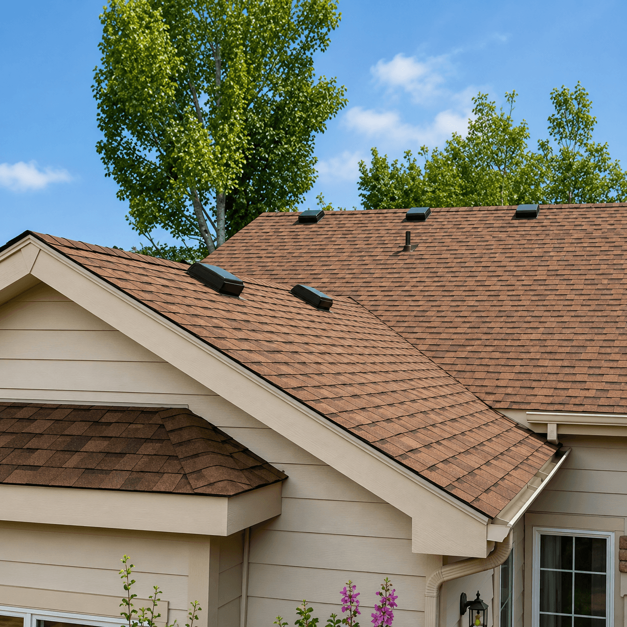 Close-up of a cedar-tone architectural shingle roof with skylights